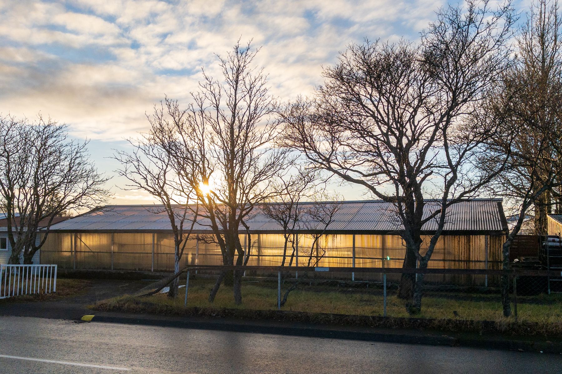 The sun rises behind a commercial greenhouse