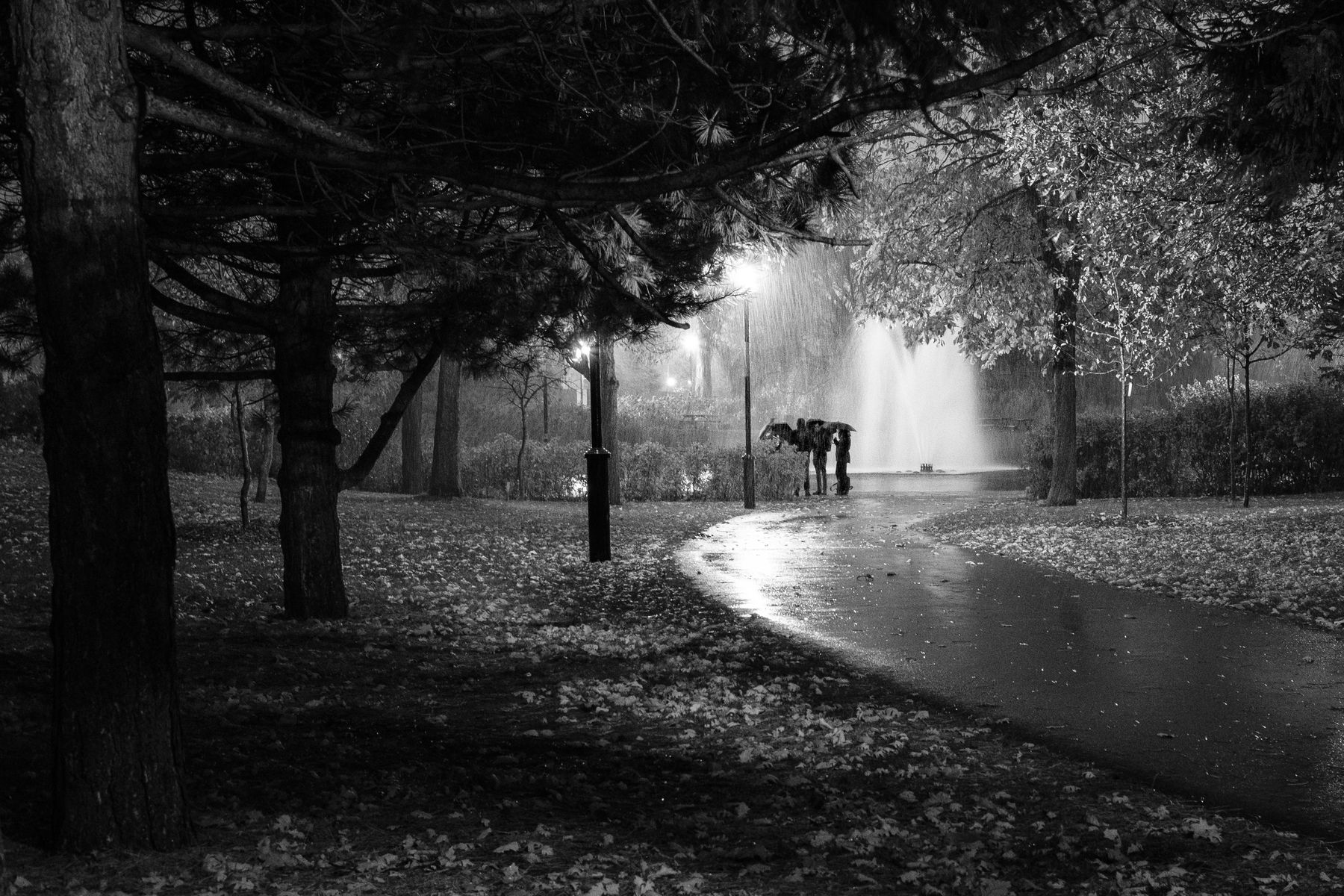 A group of people stand in the rain in Parc Jarry, talking under umbrella cover.