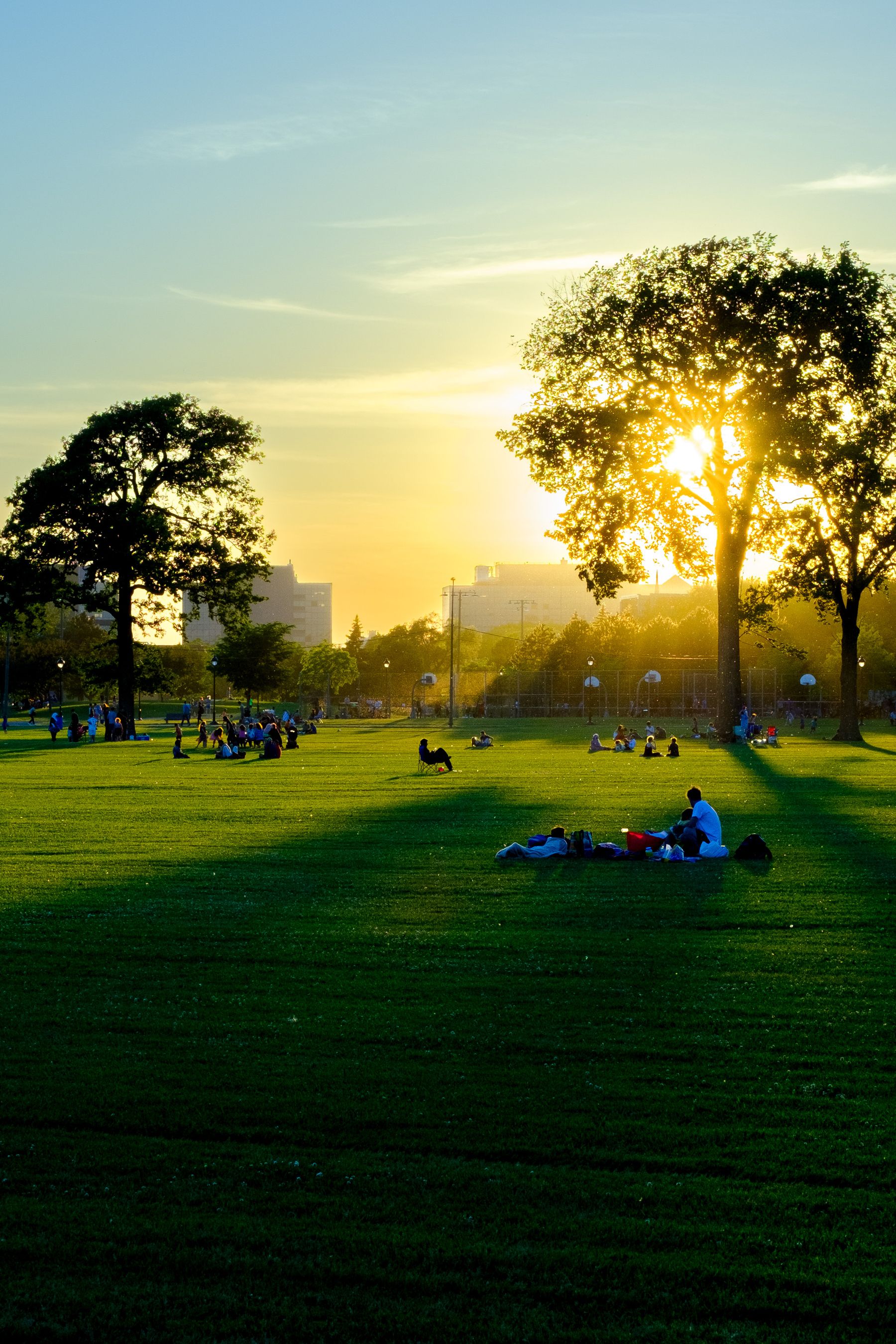 The shadows in the park are so sharp they're almost geometric shapes. A man sits in a chair in the middle of the park. Except this time it's in colour so you get distracted by all the yellow and green.