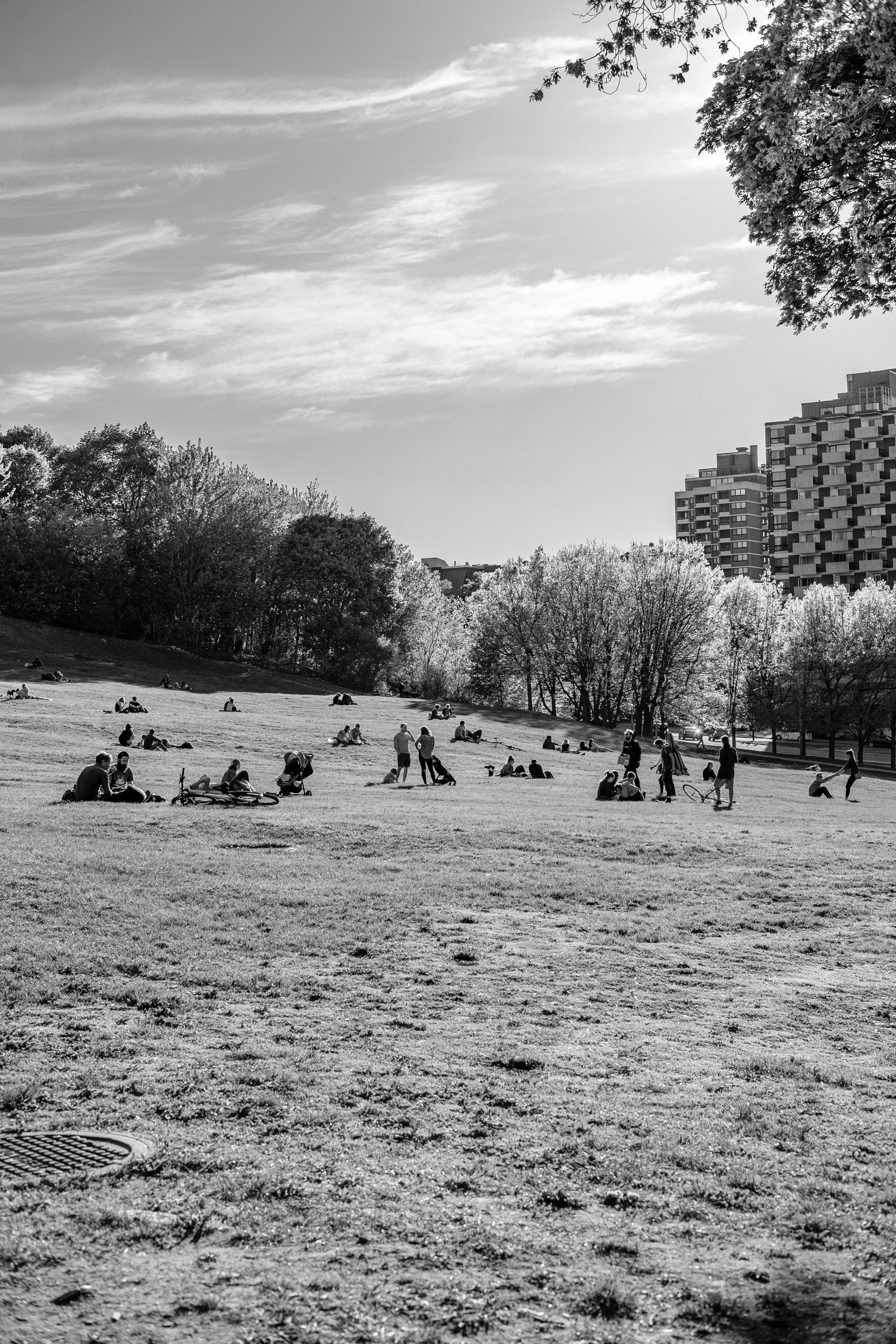 People gather in the park.