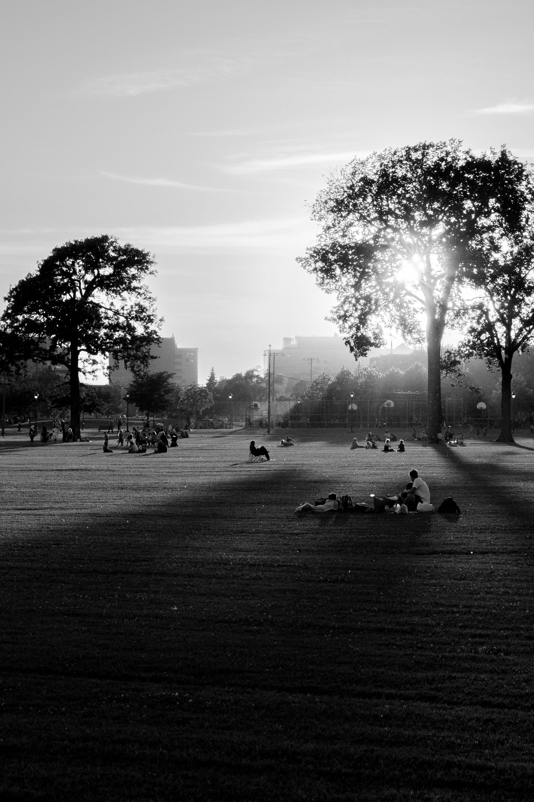 The shadows in the park are so sharp they're almost geometric shapes. A man sits in a chair in the middle of the park.