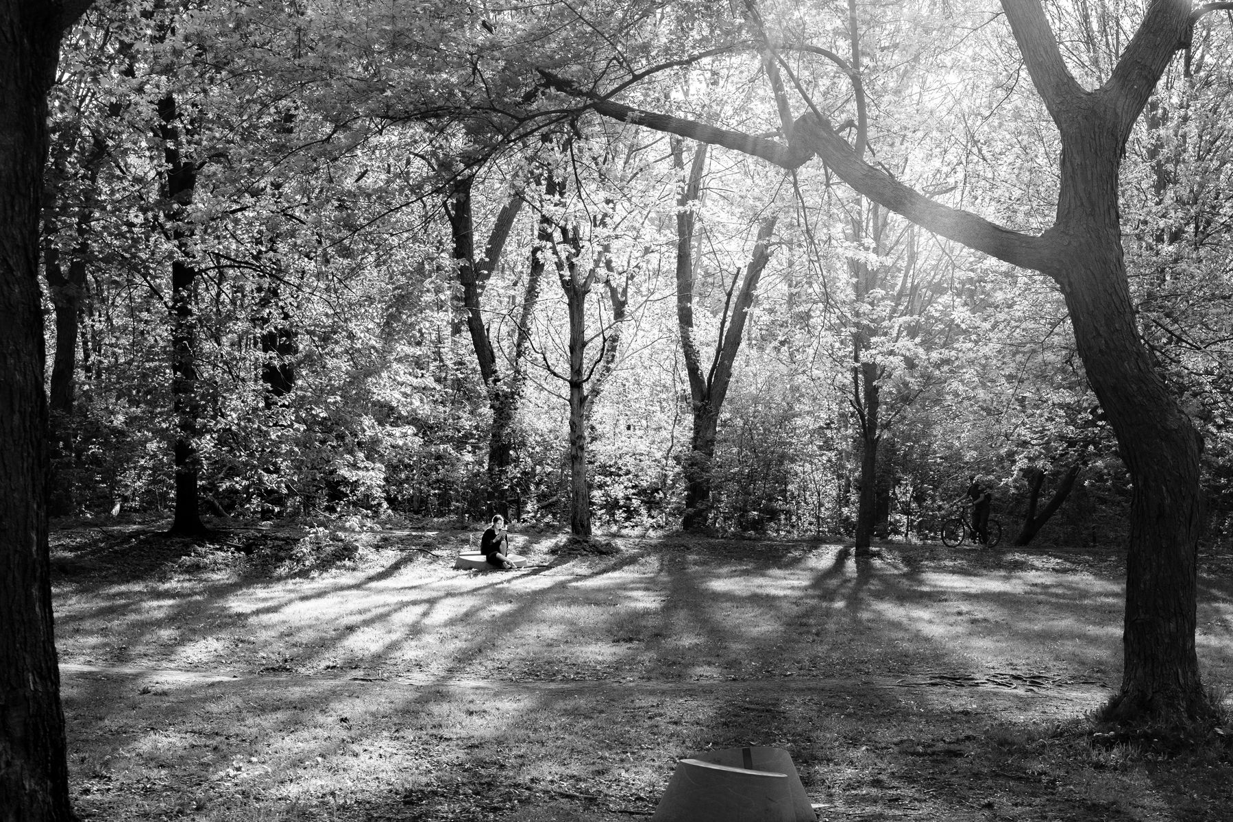 Somebody is reading a book in the shade in the park.