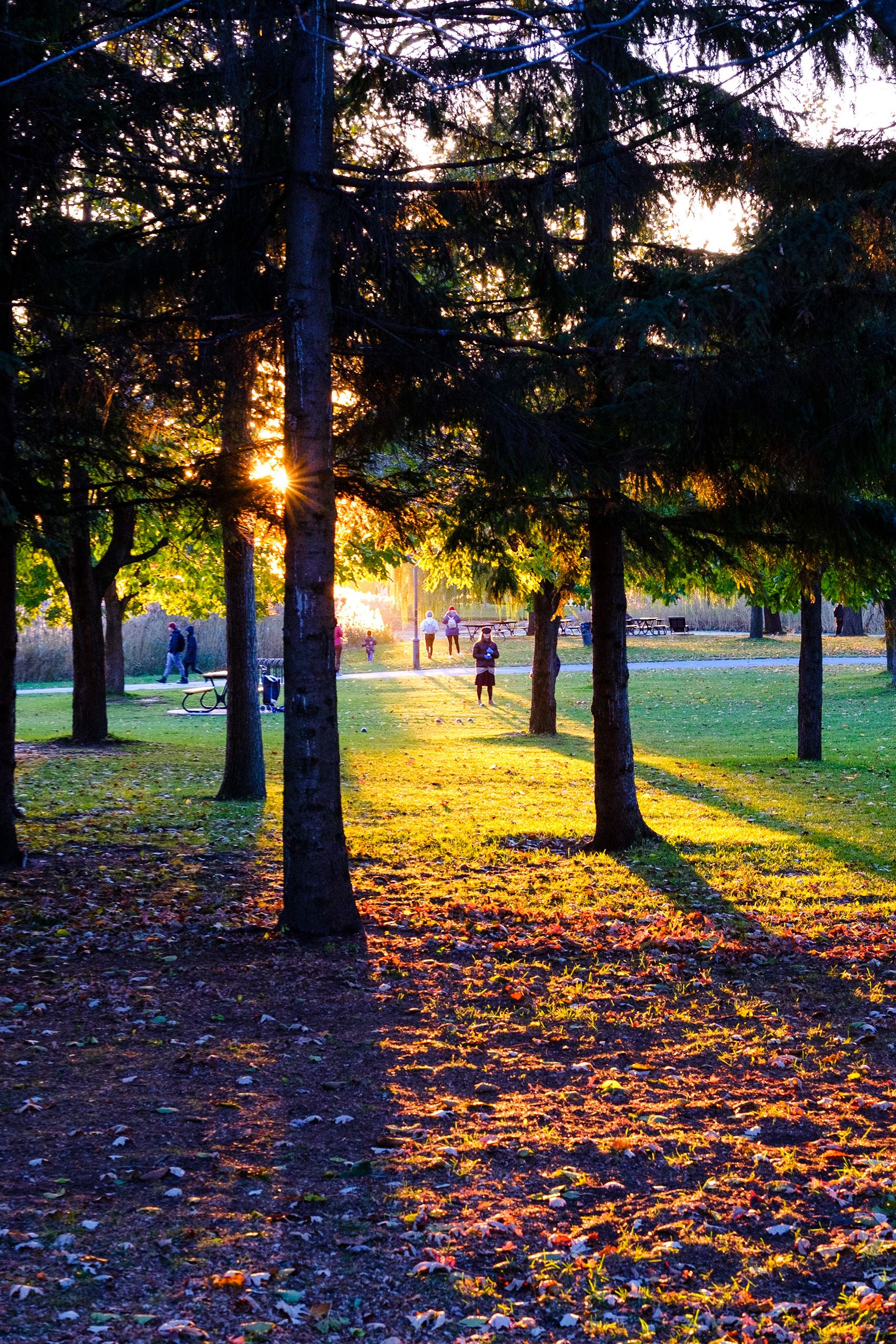 We see people beyond the trees. The leaves on the ground and the changing colours of the grass almost looks like a rainbow.