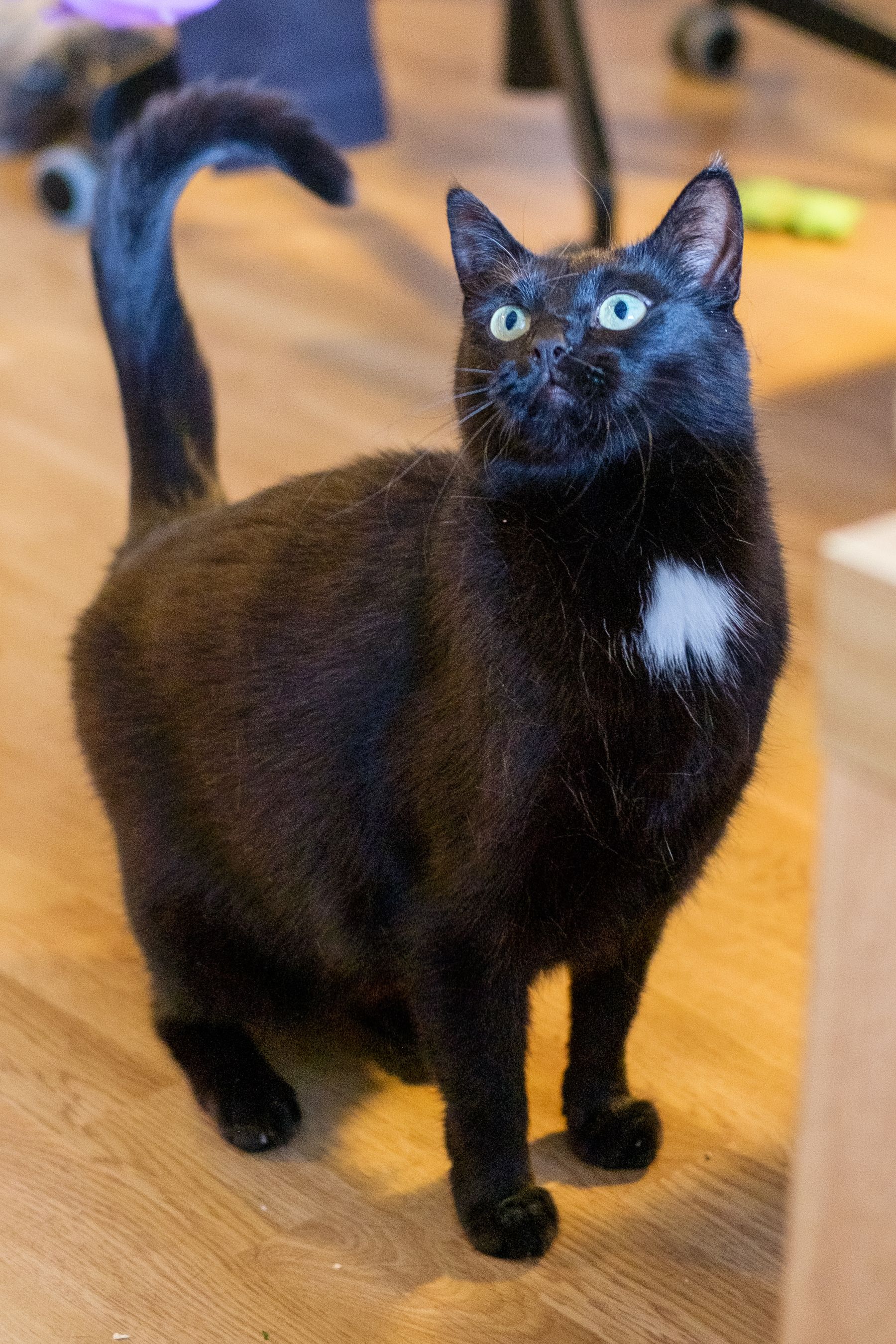 Kolka looks up at somebody who is standing over her outside the frame.