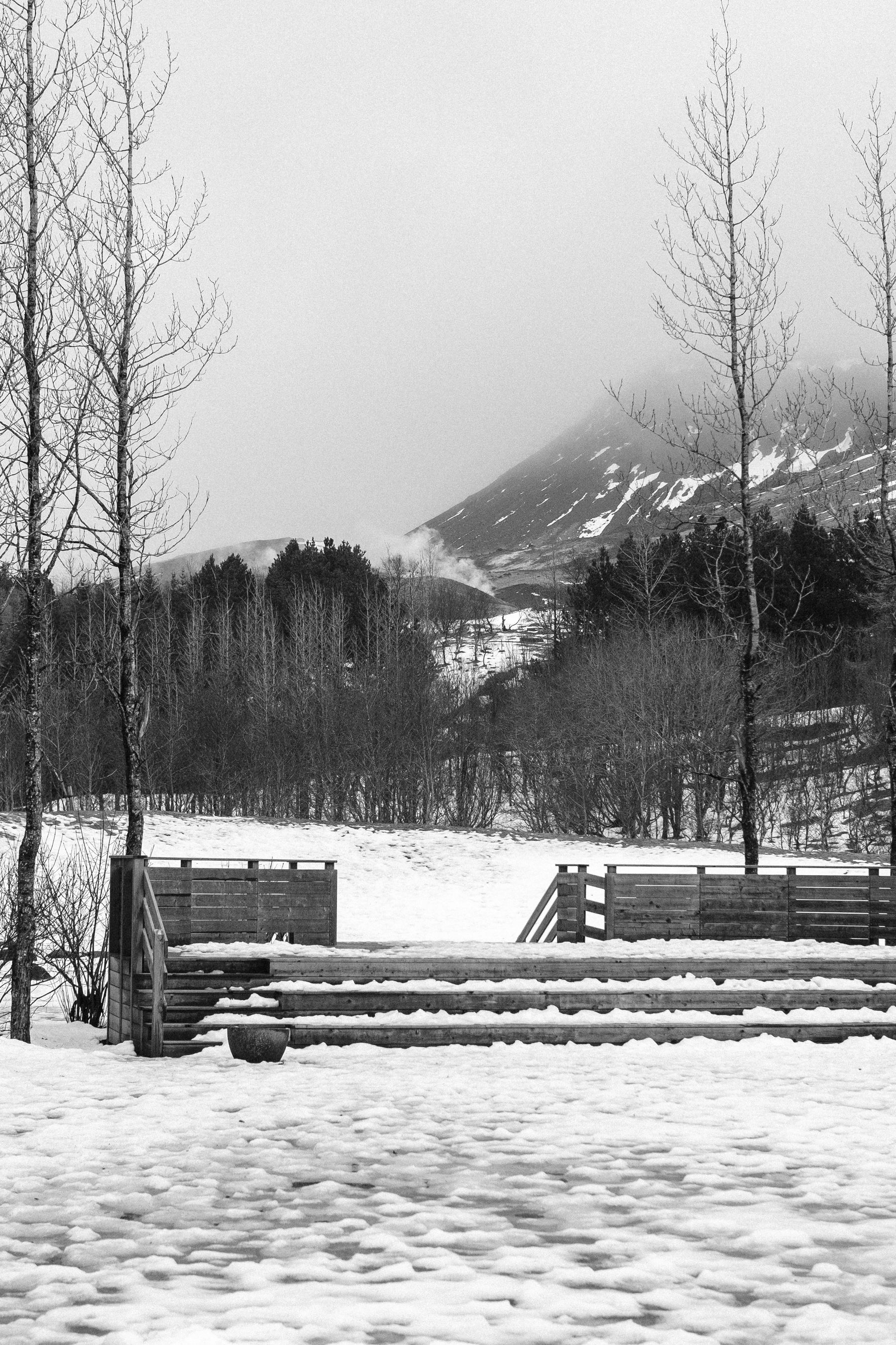 We have a tiny park here in Hveragerði. This is the view from its centre. You can see trees, the mountains in the distance, and a hint of a column of steam rising from a hit spring.