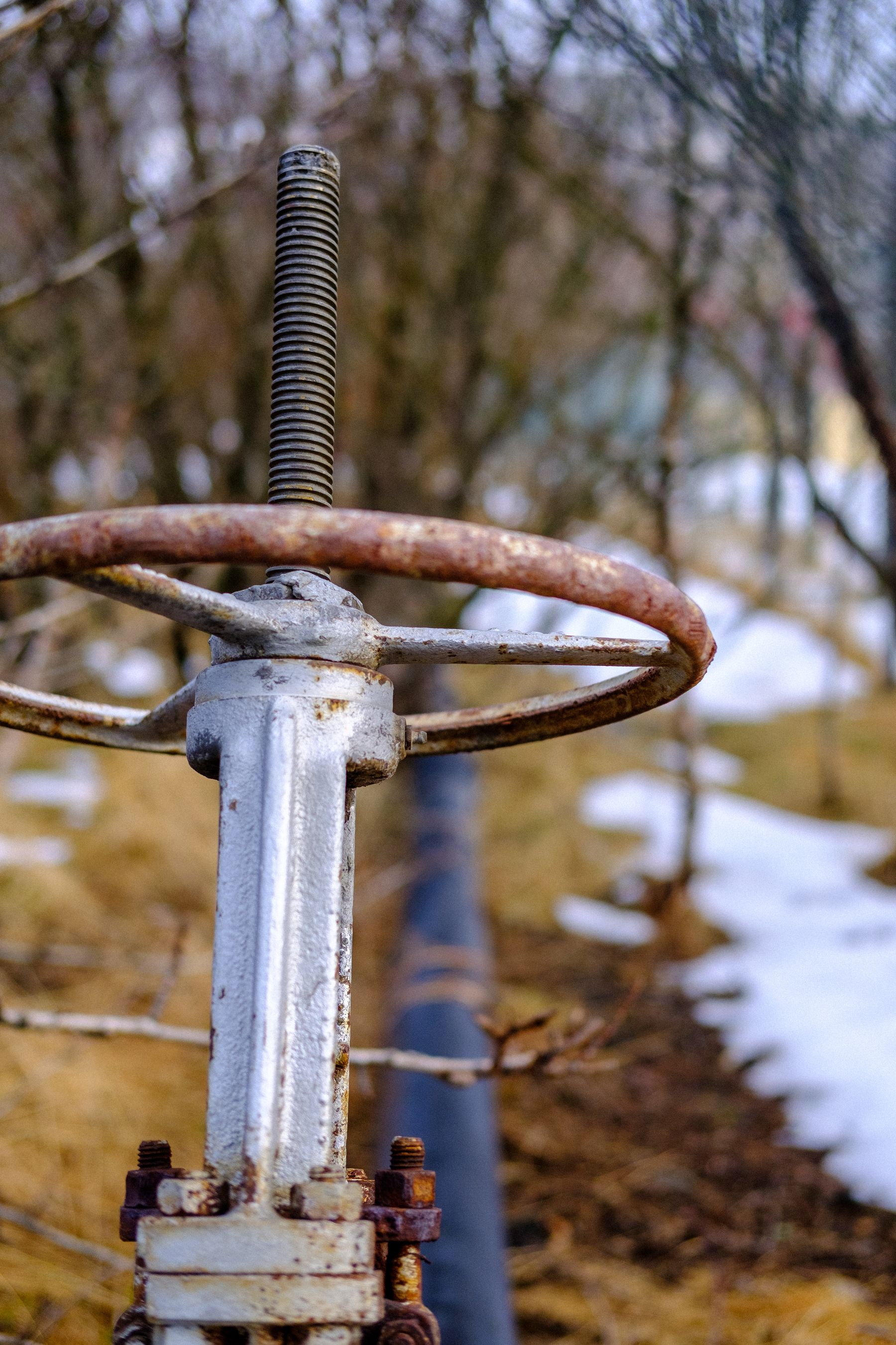 A colour photo of the rusty wheel that controls the valve on this pipe, which channels geothermally heated water from the hot springs.