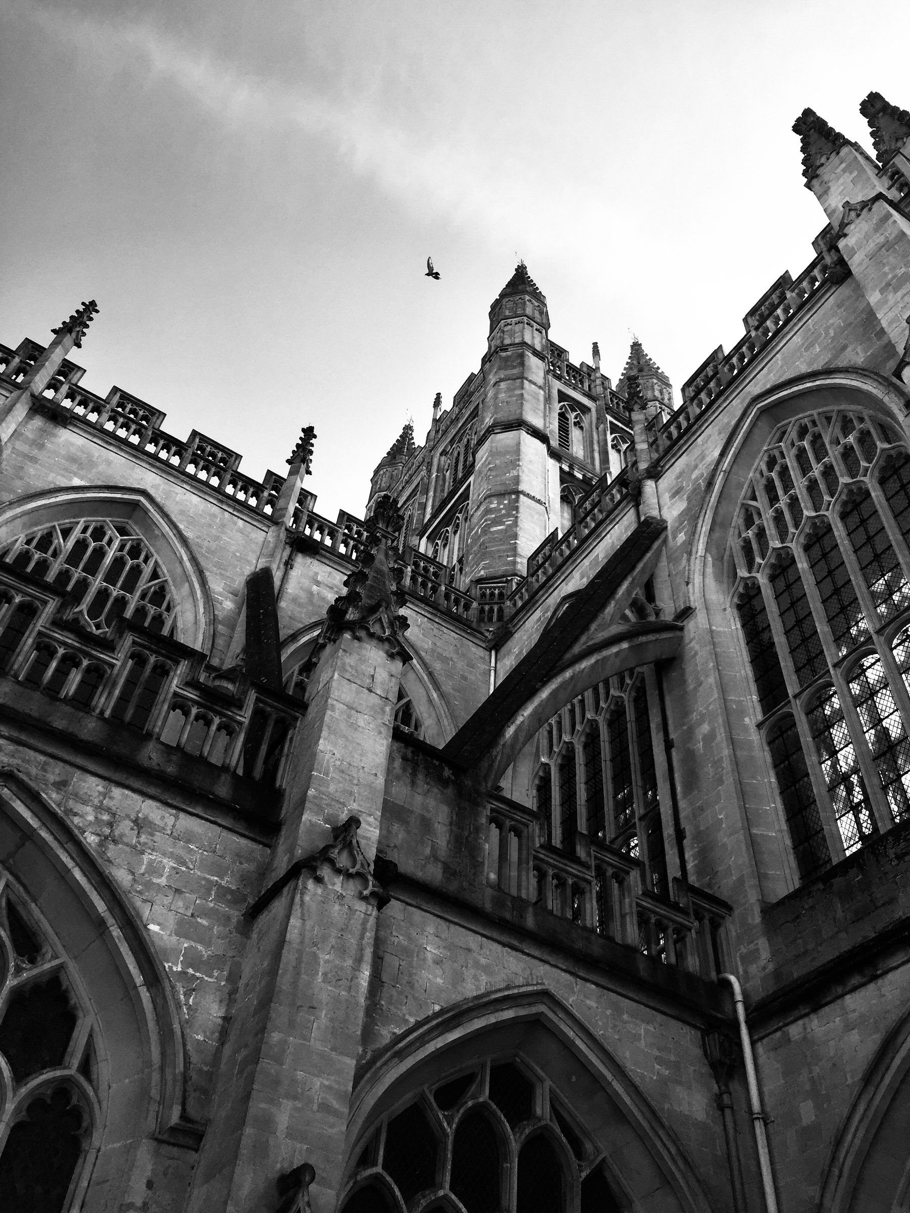 We look up a cathedral to see the silhouette of a gull above