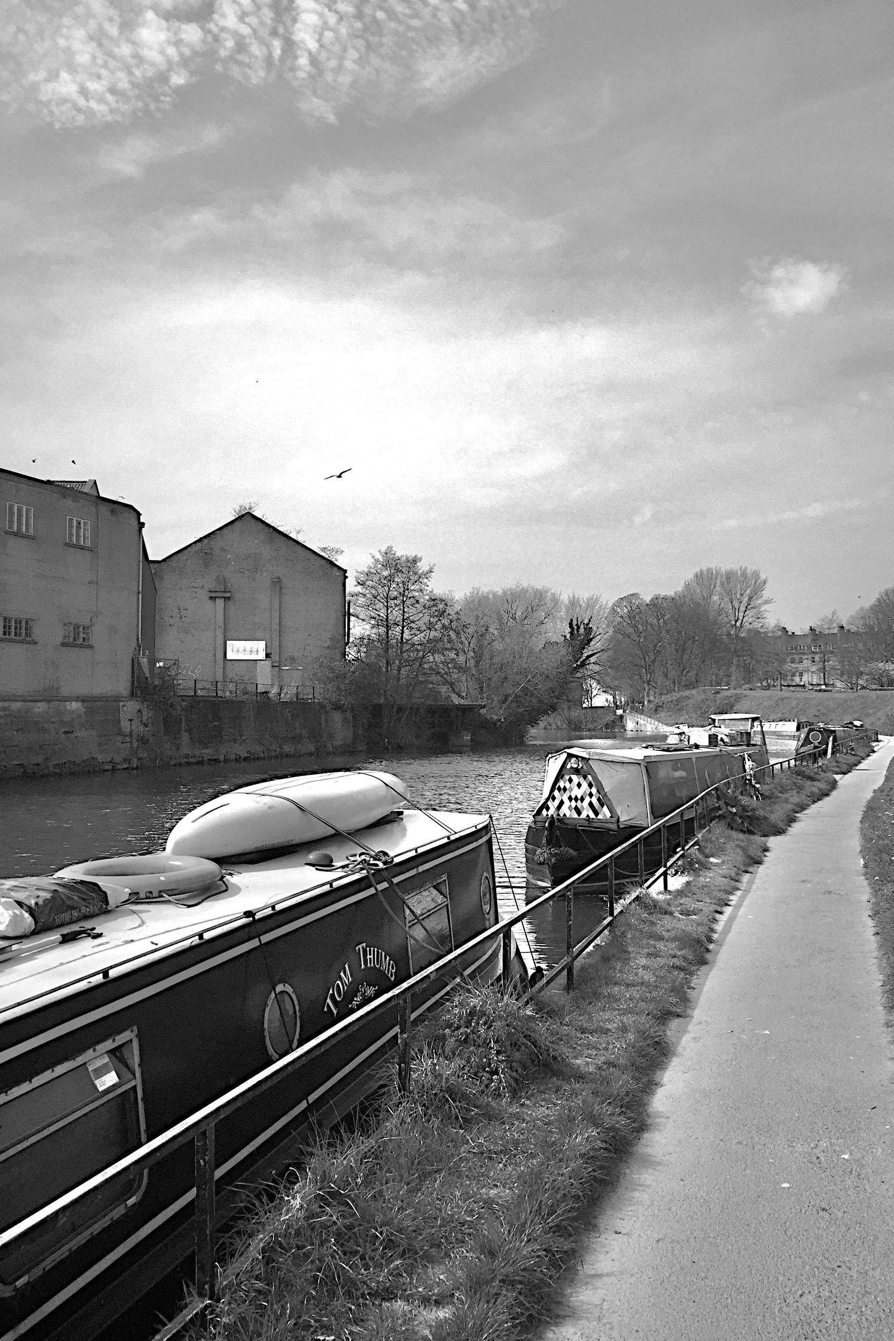 By the river that runs through Bath, UK. It's black and white and a gull hovers over one of the houses