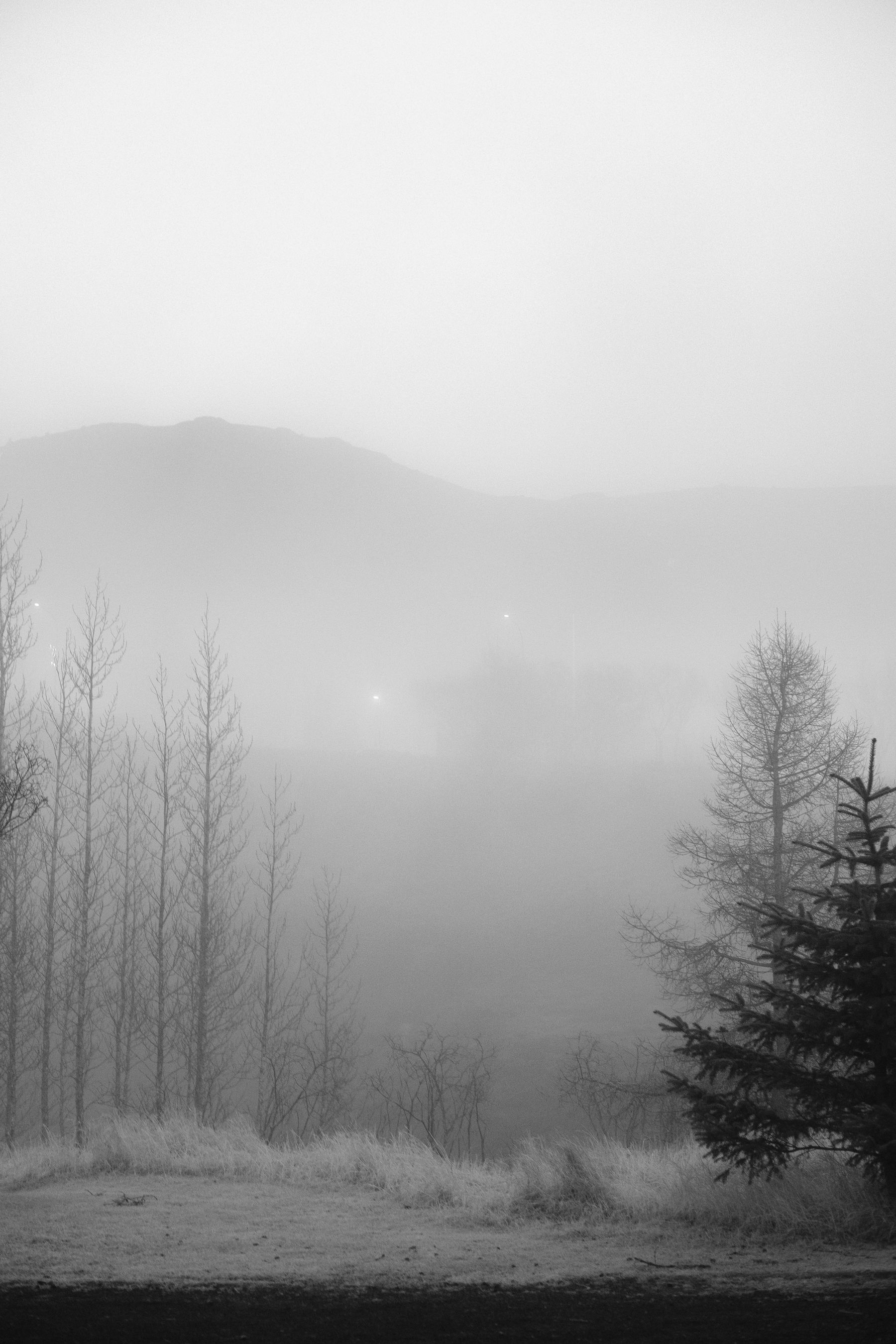 A view past a few treest, towards the mountains by Hveragerði, fading away in the fog.