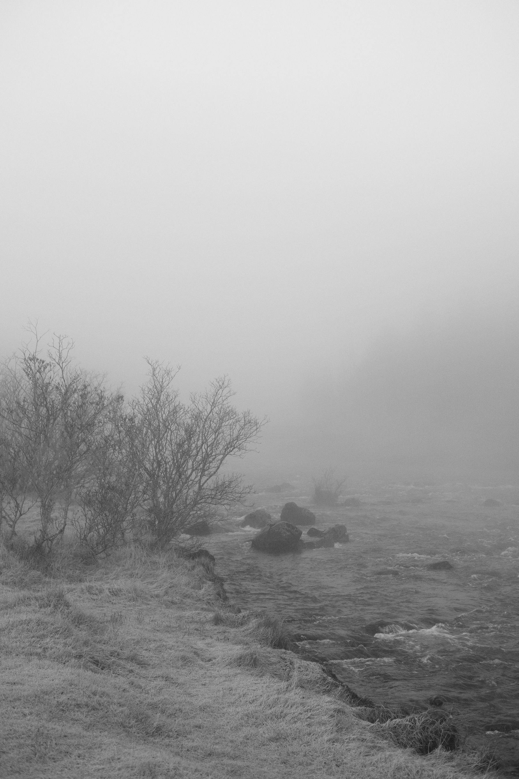 A view of the Varmá river here in Hveragerði in the fog.