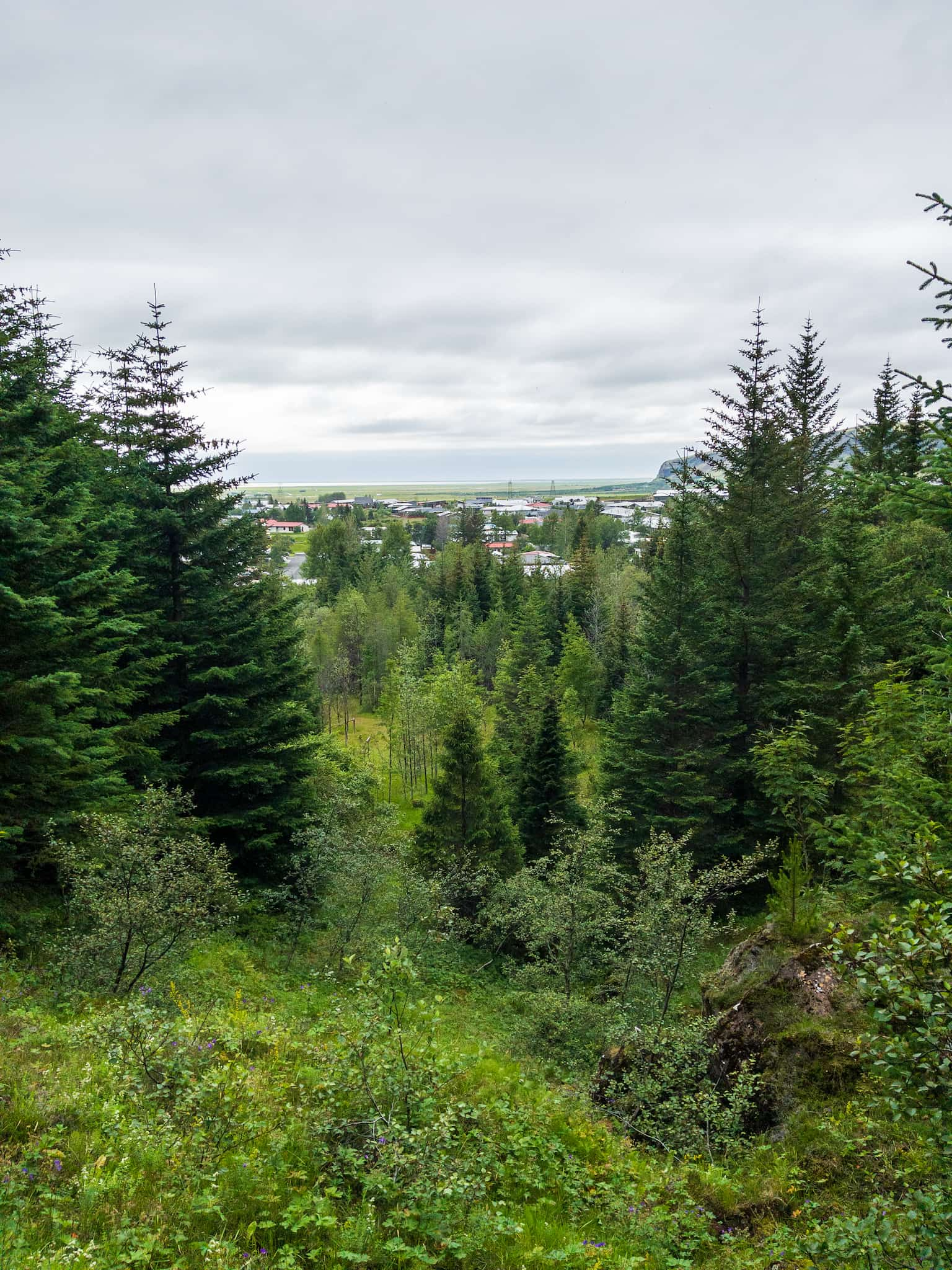 A view fromt he top of the cliffs over the trees. Behind them we see the town Hveragerði.