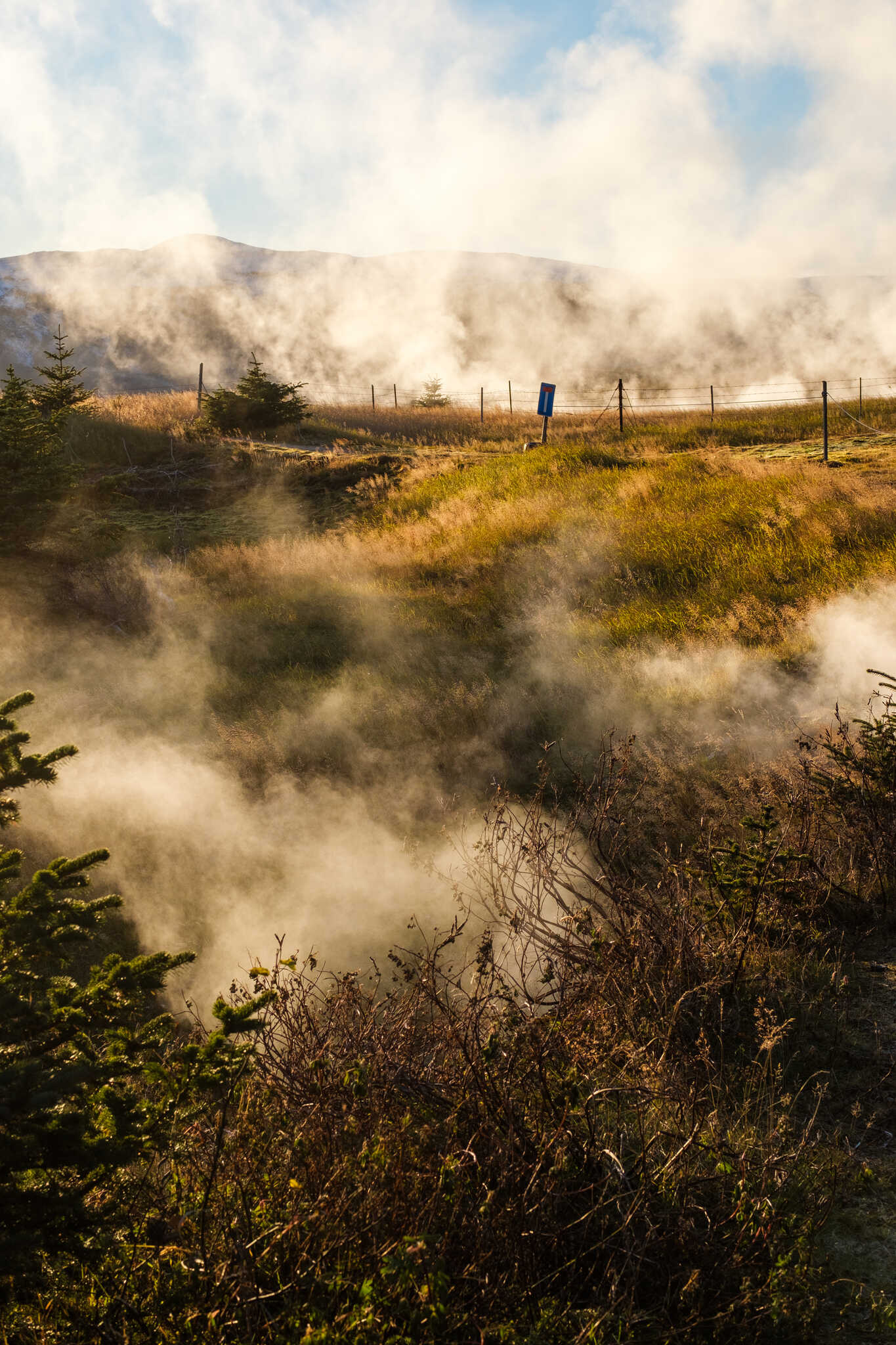 Grass and shrubbery shrouded in steam. We see glimpses of a fence and a sign. In the distance, as always, mountains.