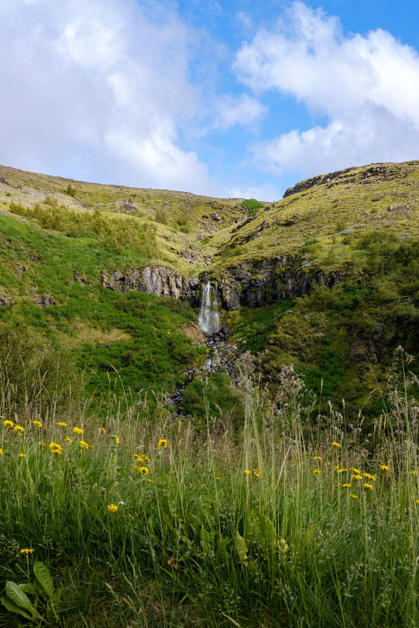 A waterfall falling down a cliff in the distance. Flowers in the foreground. 