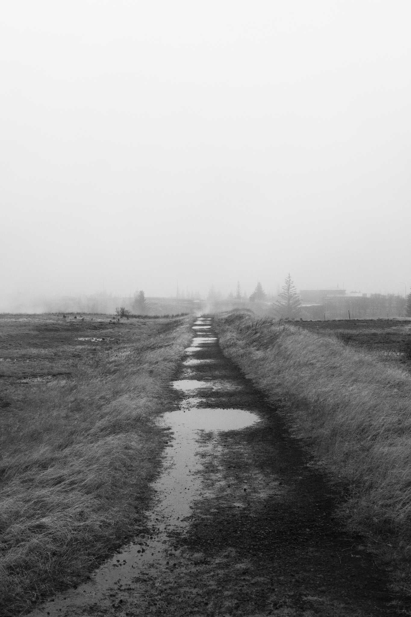 A black and white photo of a path heading straight into the distance where the fog envelops what looks like trees and houses. Puddles dot the path