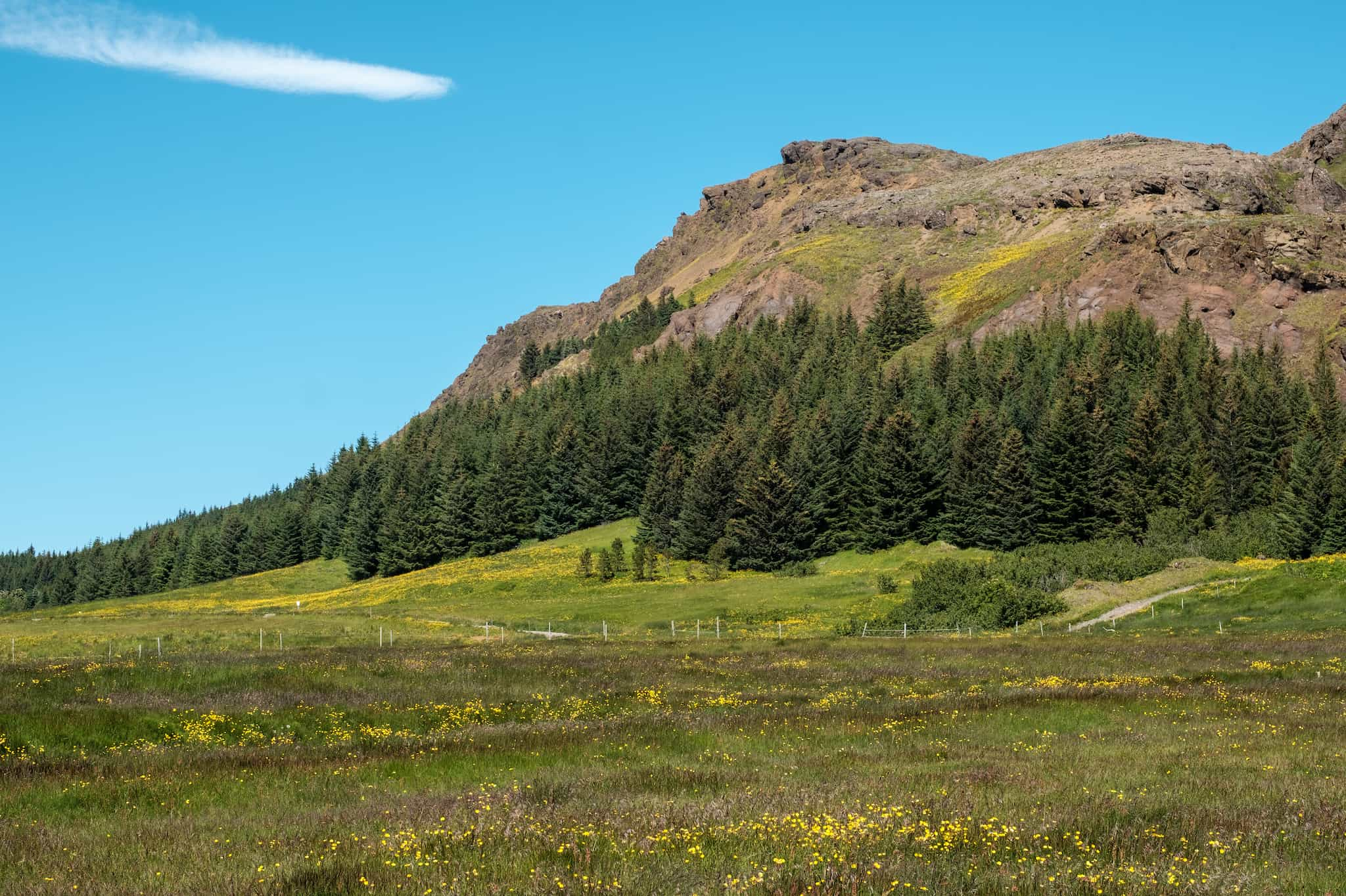 Another view of the same mountain.