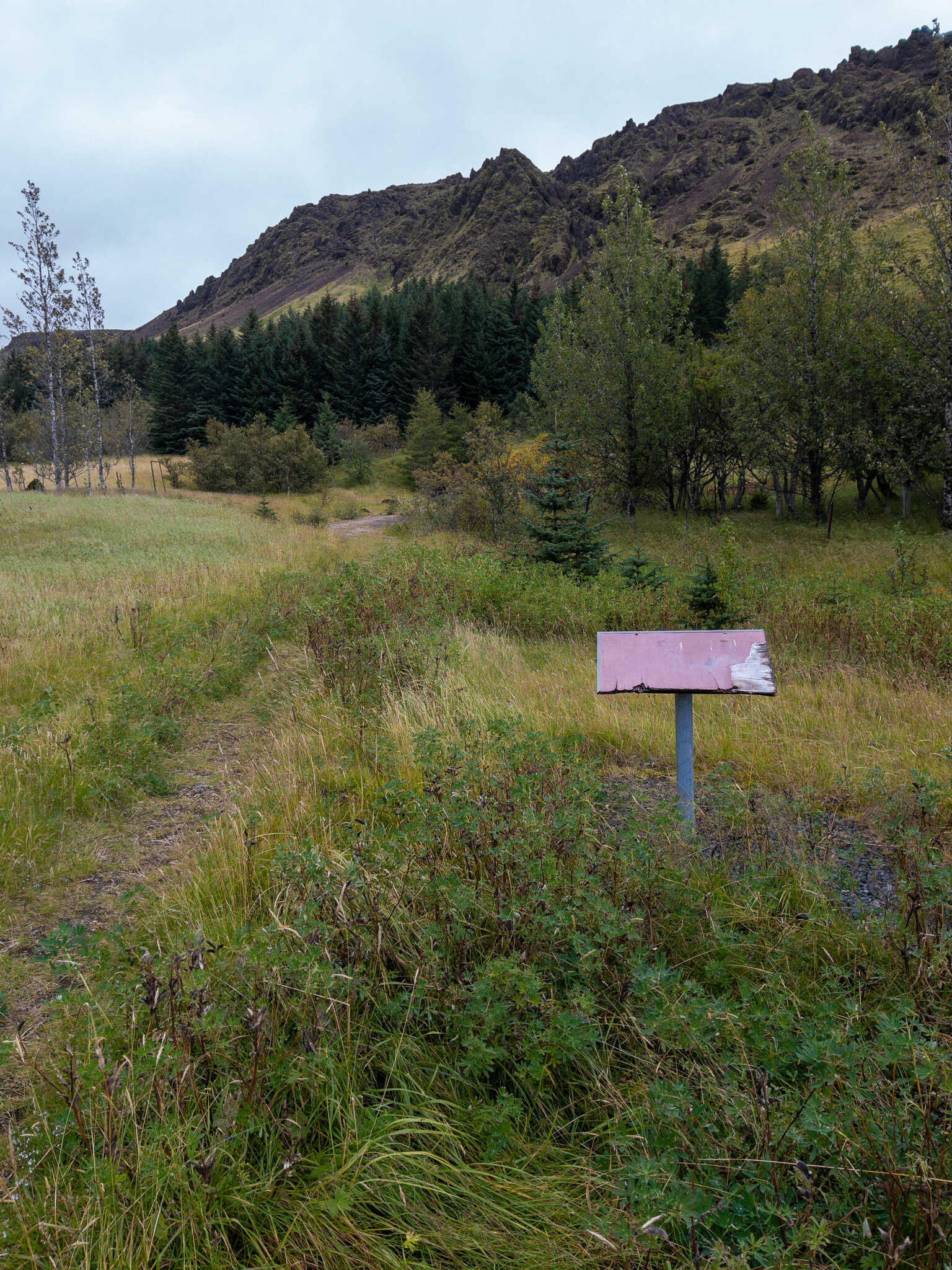 An old and worn blank sign that is next to a now overgrown path