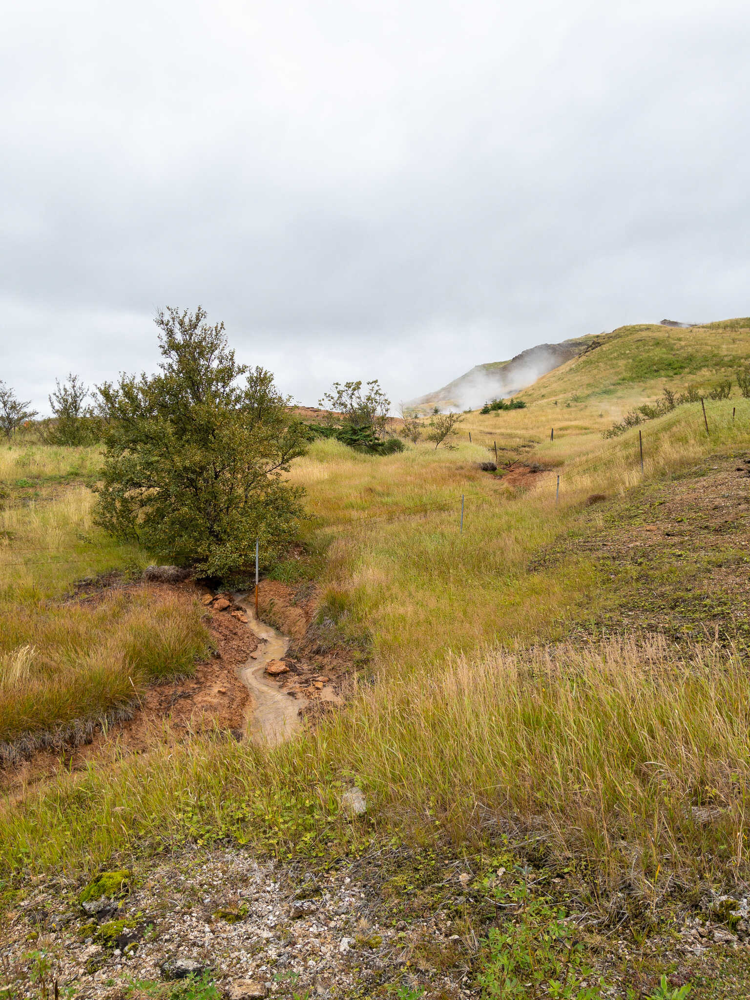 A hillside. Steam gently wafts off placid mud springs.