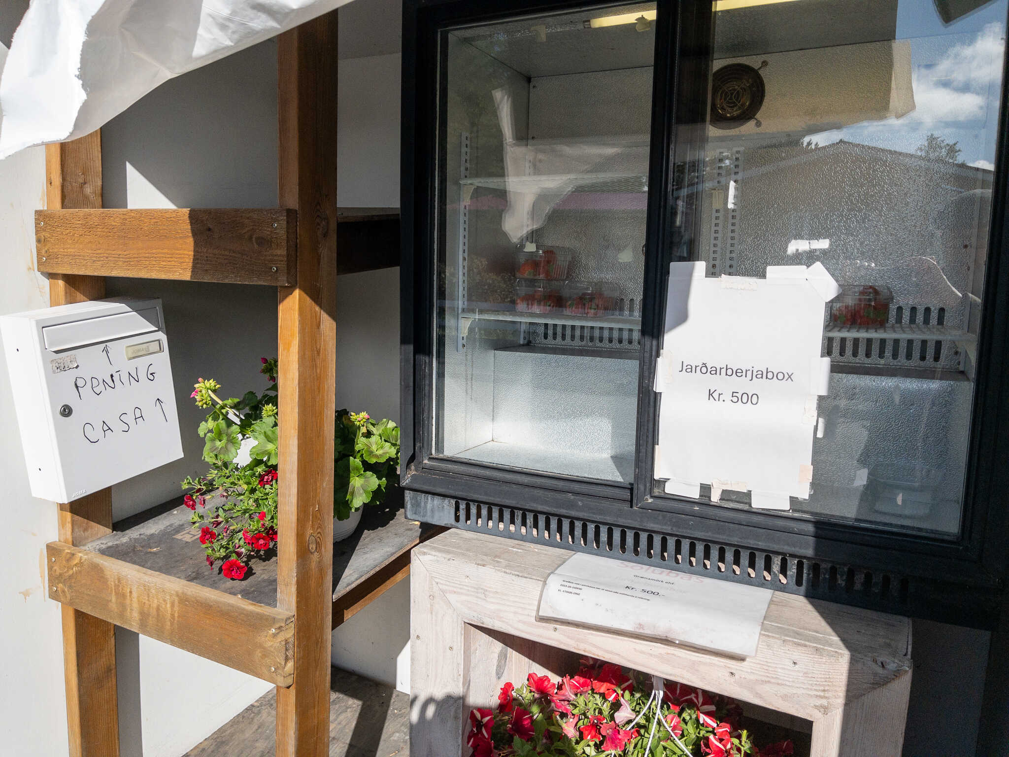 A shelf, a fridge, and a box. The fridge has a few boxes of strawberries and has a sign that says “jarðaberjabox kr. 500” or “box of strawberries, 500 ISK”. The box has “pening” and “casa” scribbled on it in a marker. “Pening” is “money” in Icelandic