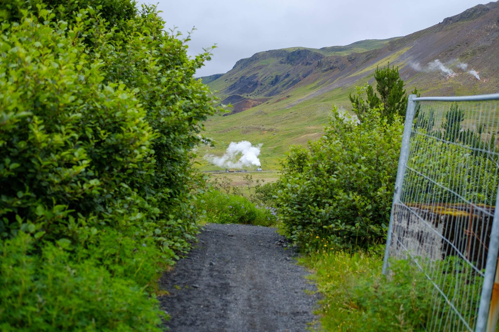 The other view of the same path. In the distance we see a well belching up steam.