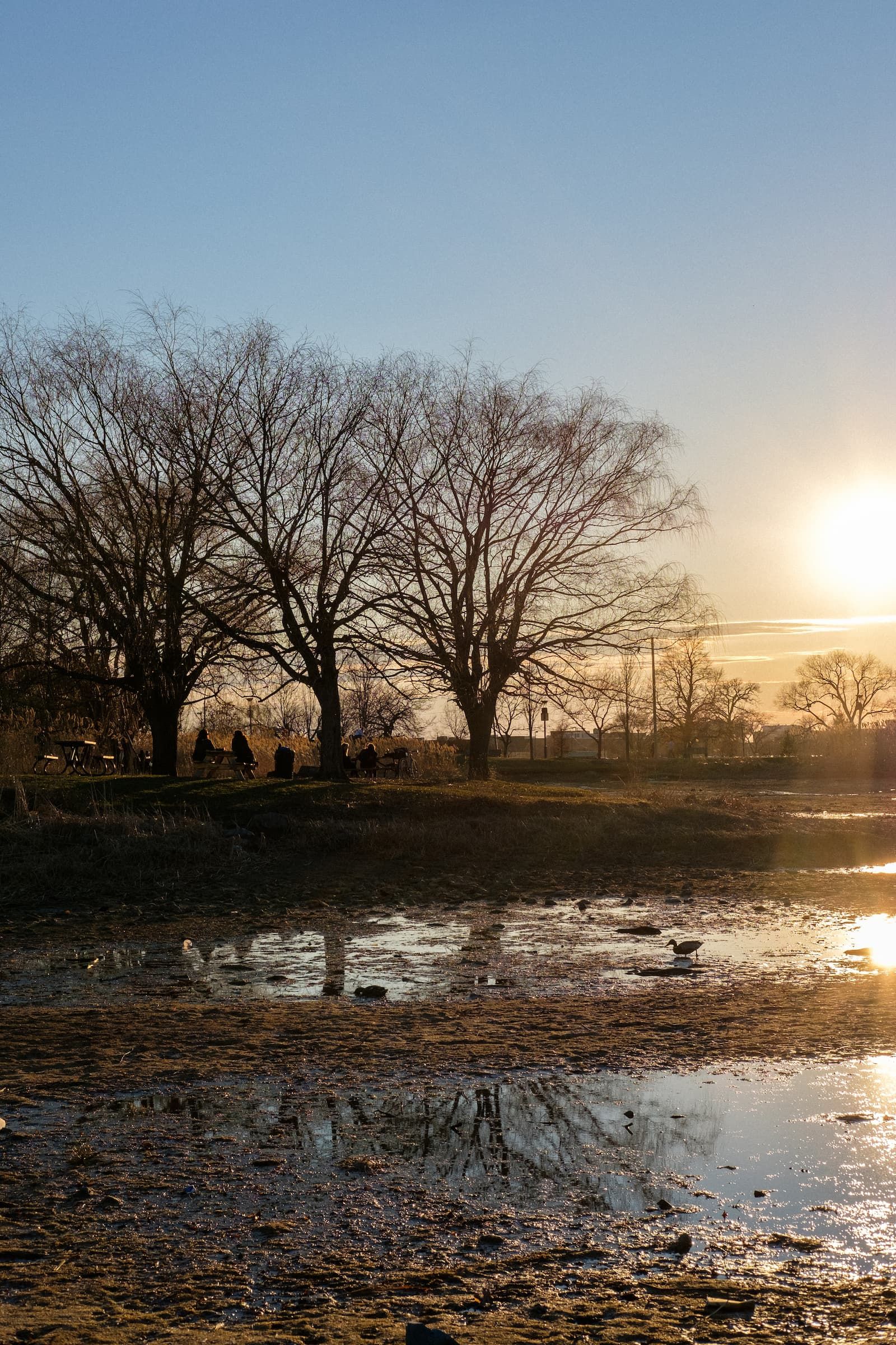 It's spring in Parc Jarry. People are picnicing in the sun. A duck wanders the dry pond bed.