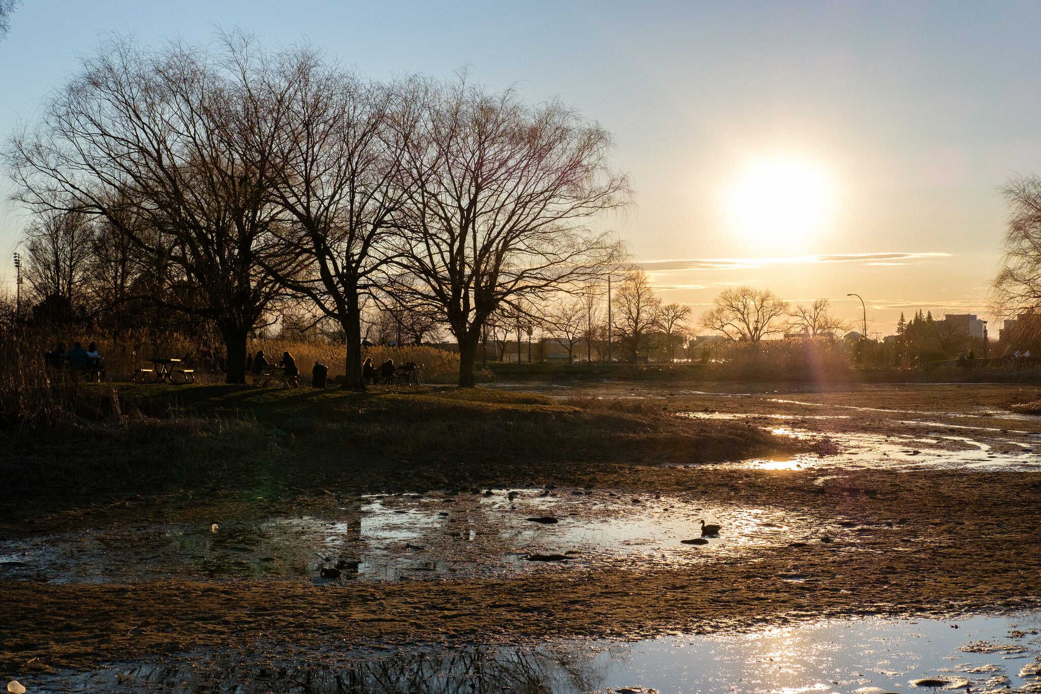 The spring photo feels desolate. The pond is dry. People sit by the tables and chat. A lone duck paddles in the small puddle that is all that remains of the pond.