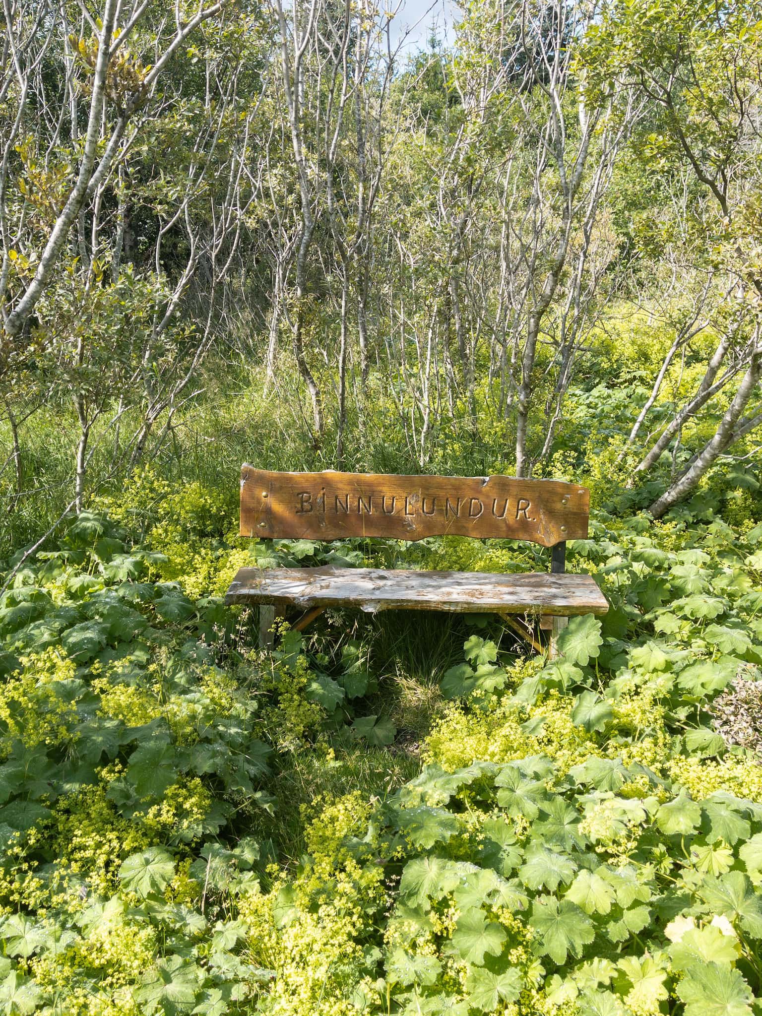 An overgrown grove. In the middle of it there is a wooden bench with 'Binnulundur' carved into it. In English that translates to 'Binna's Grove'.