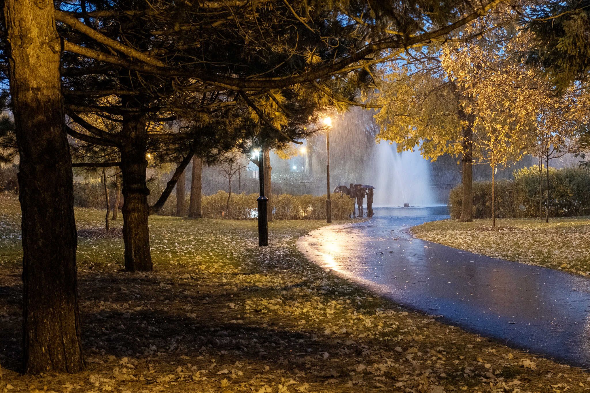 The autumn photo is of people meeting in the rain. Beyond the trees we see a group of people gathering under umbrellas.