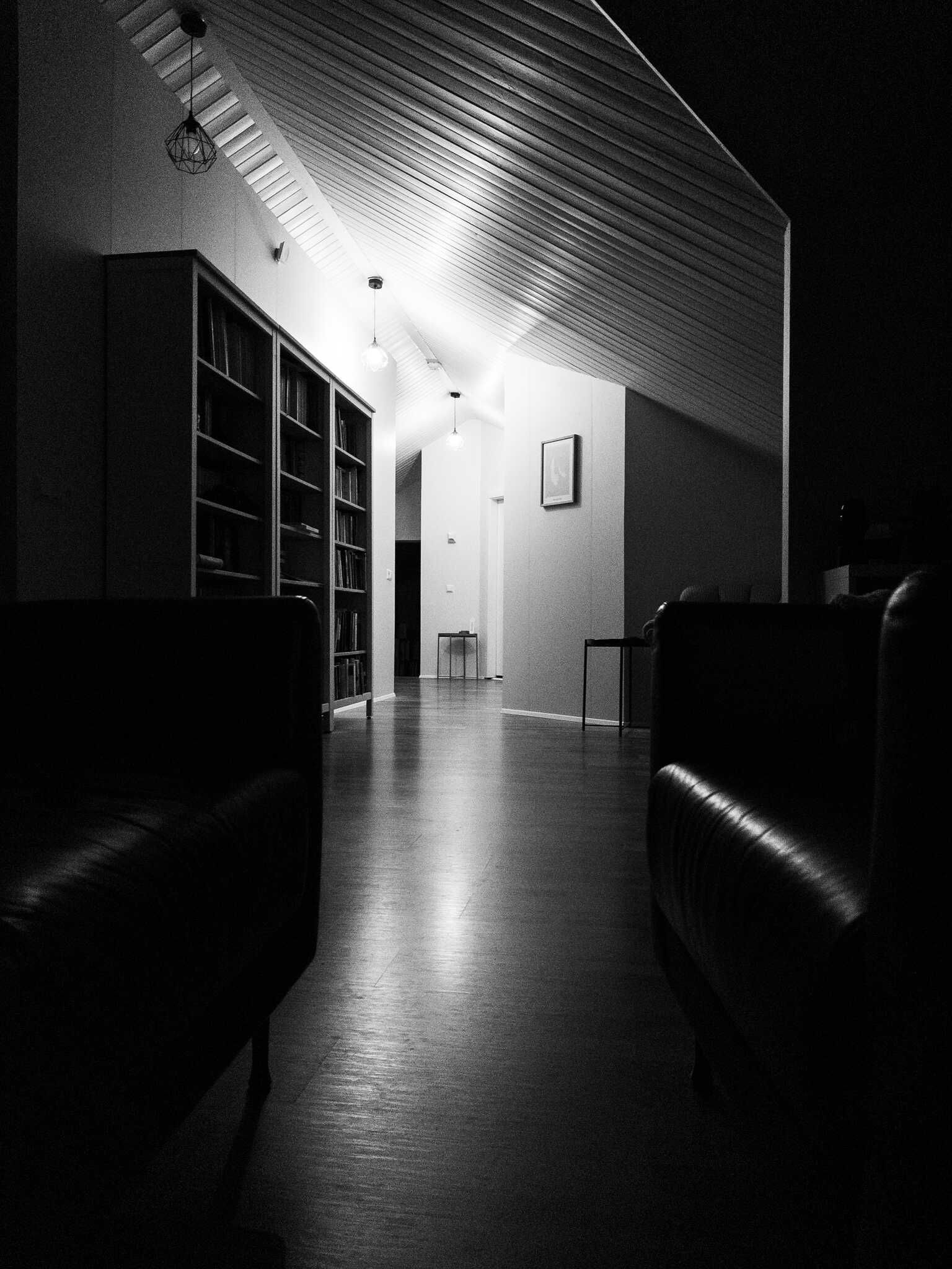 A black and white photo that’s absolutely swimming with shadows. It shows a view between two chairs and shows the bookcases from the previous photo