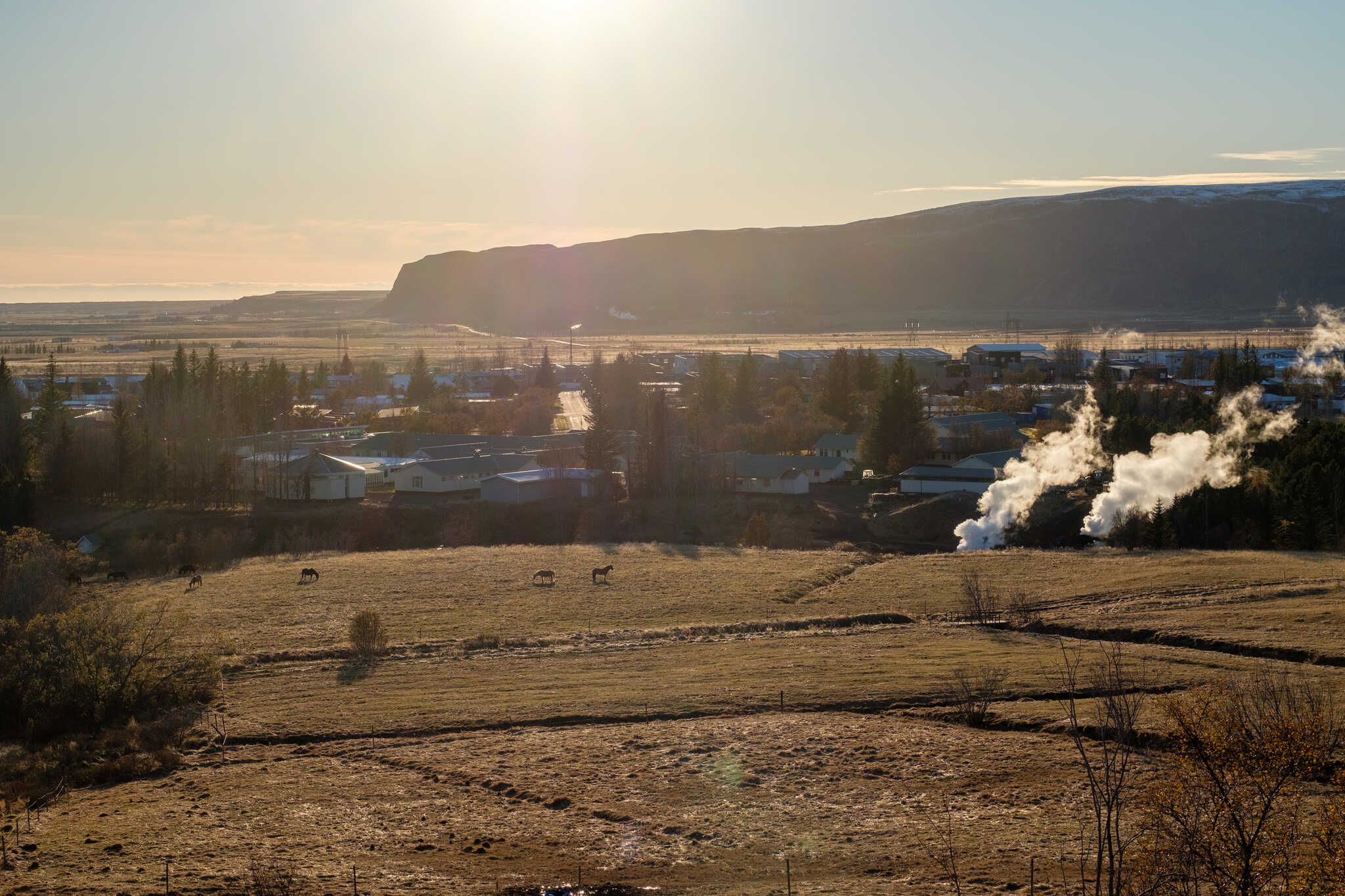 A view of that same field of horses except from the other side, a bit higher up. It shows the field, a few horses, steam rising from a couple of hot sprints, and a setting sun