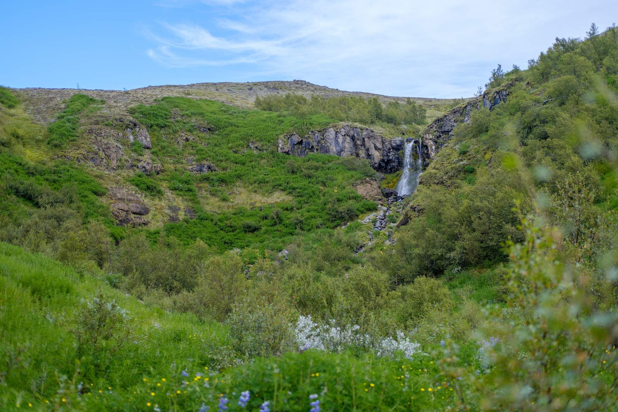 Another wider photograph of the waterfall. Emphasising just how much green surrounds it.