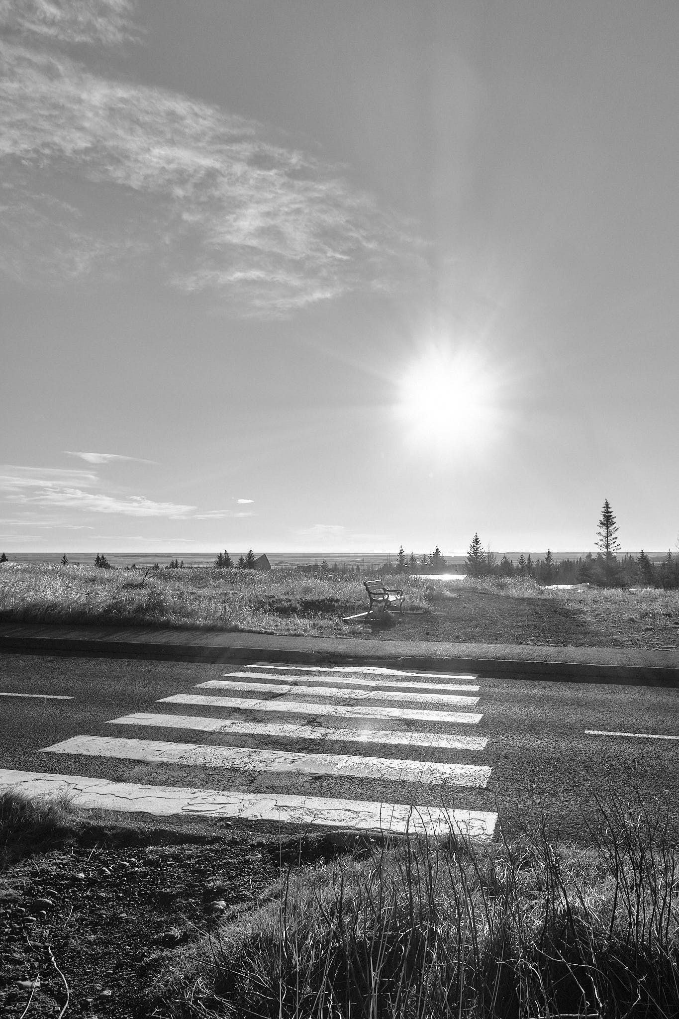 A local bench here in Hveragerði