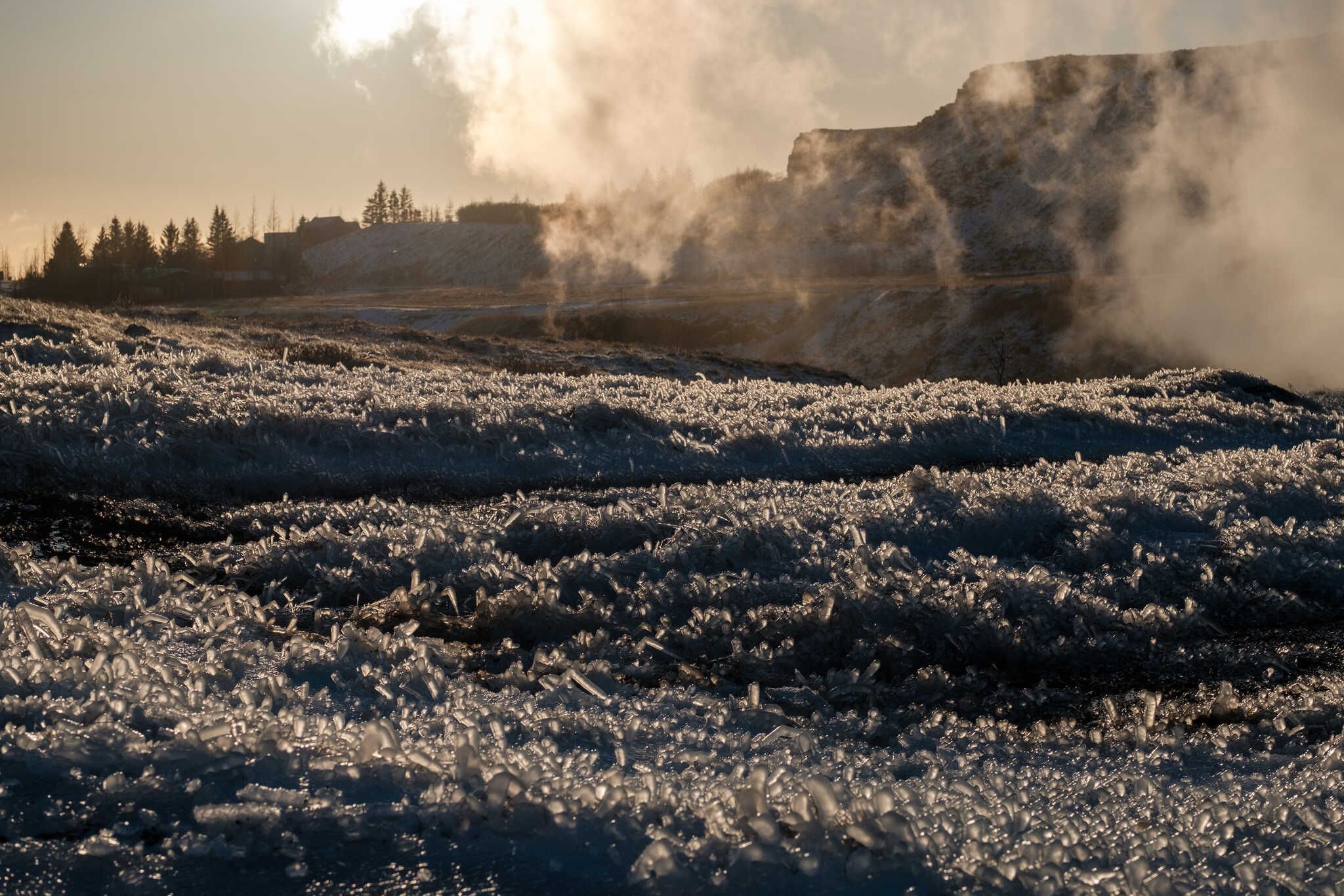 More of that frozen grass. Wafts of steam float over everything