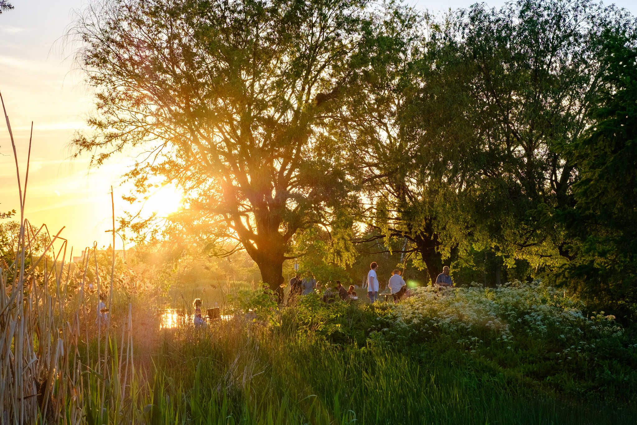 The summer photo is of a birthday party being held in the park. The sun is setting as people arrive.