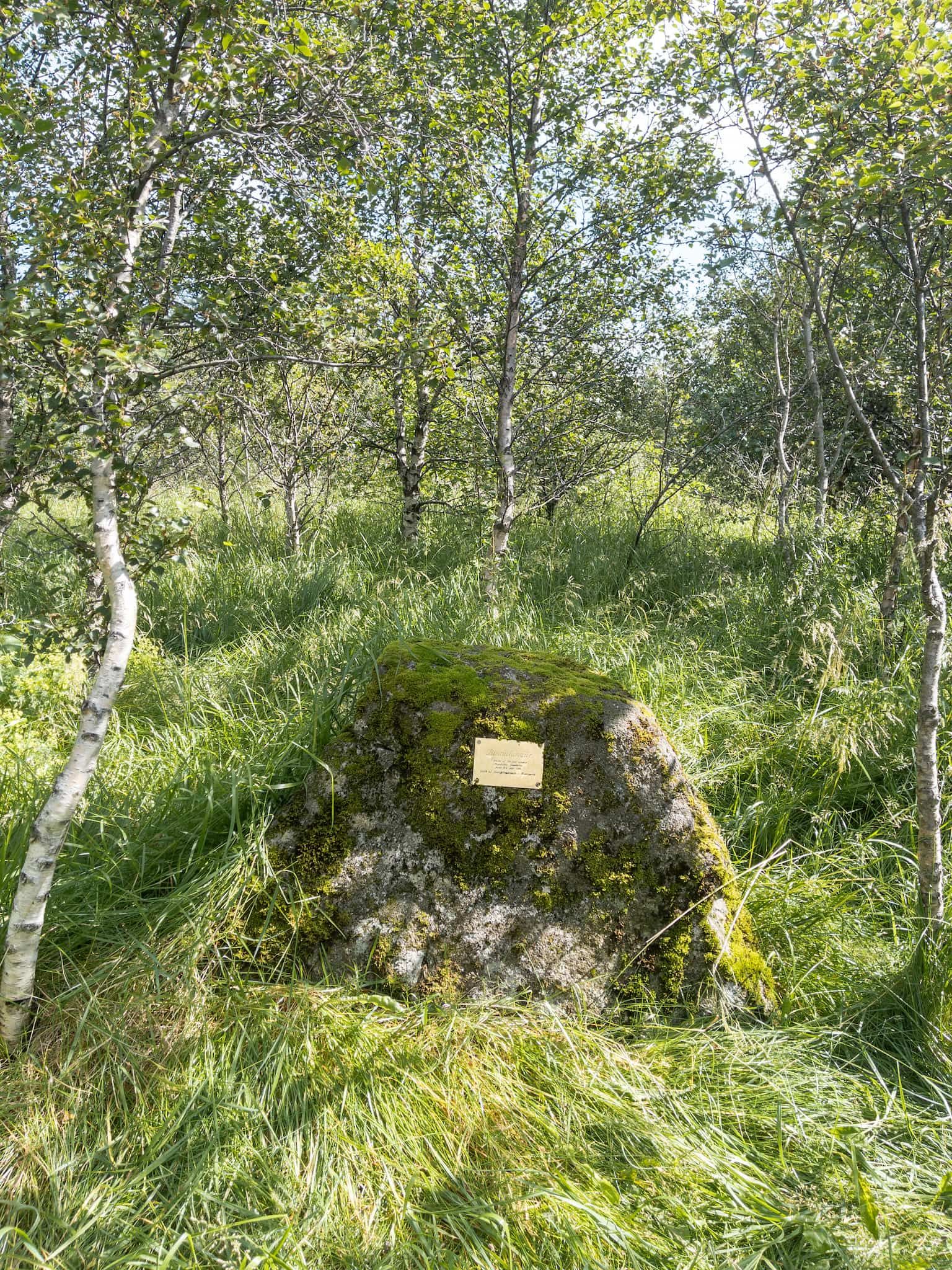 The rock in Binna's Grove that bears a plaque dedicating it to her. The text is too small to read in this picture.