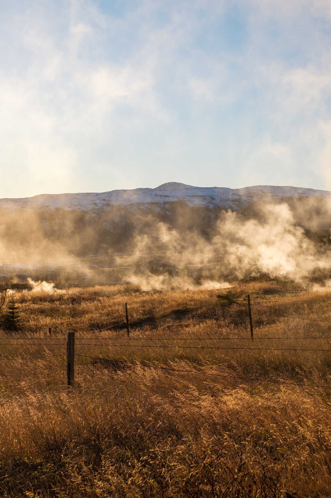 More fenced fields covered with steam. The grass is quite yellowed already. In the distance we se the peak of a mountain clearly