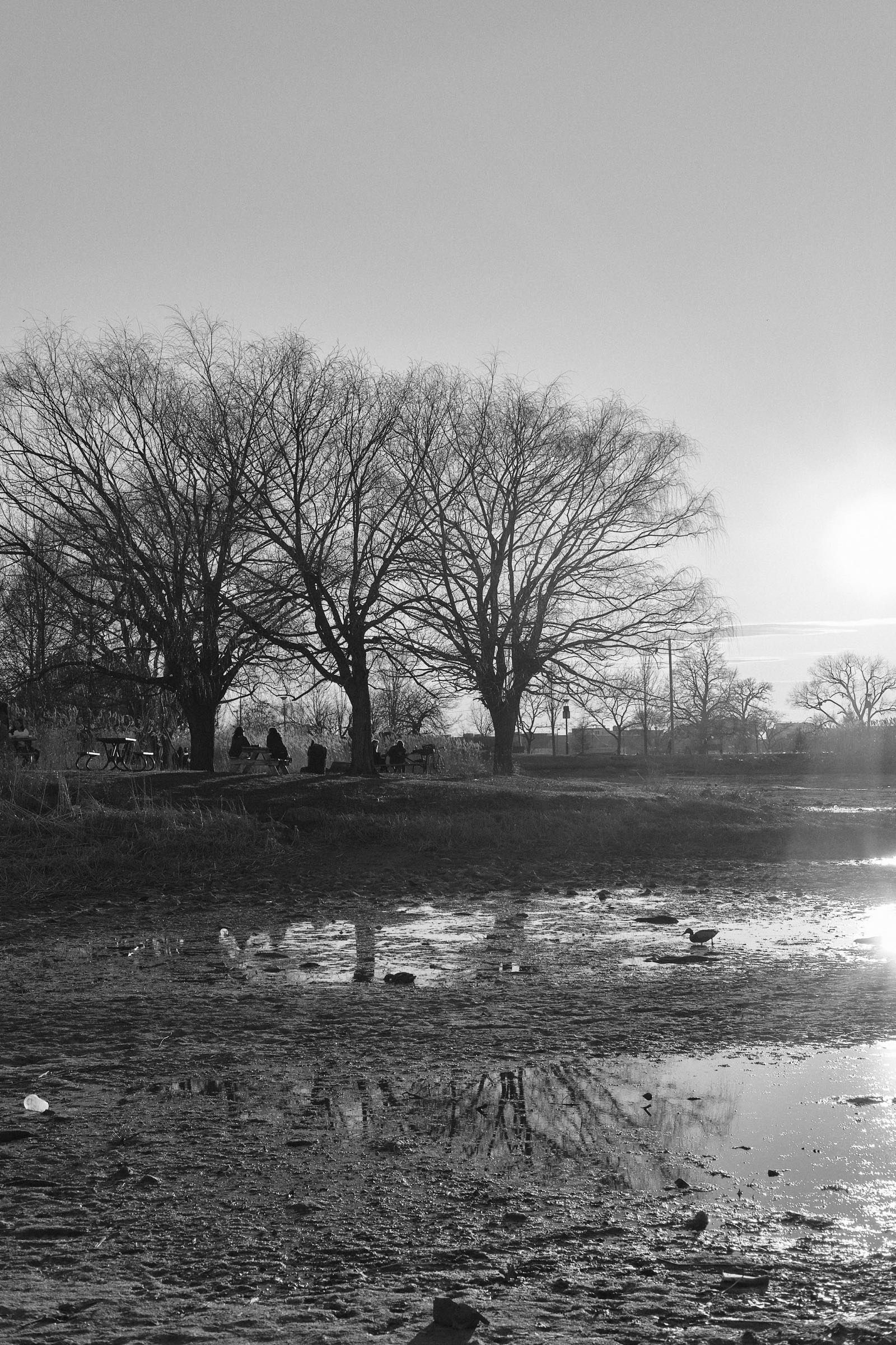 People eat in the park as the sun sets